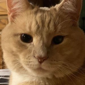 Meet your Posher, Fred